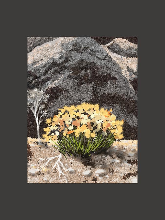 Color in the Desert Digital Art by Cynthia Westbrook