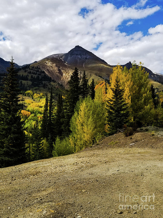 Color in the Mountains Photograph by Elizabeth M