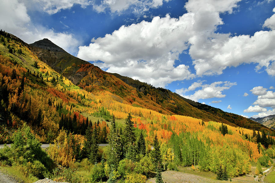 Color in the Spotlight at Red Mountain Pass Photograph by Ray Mathis