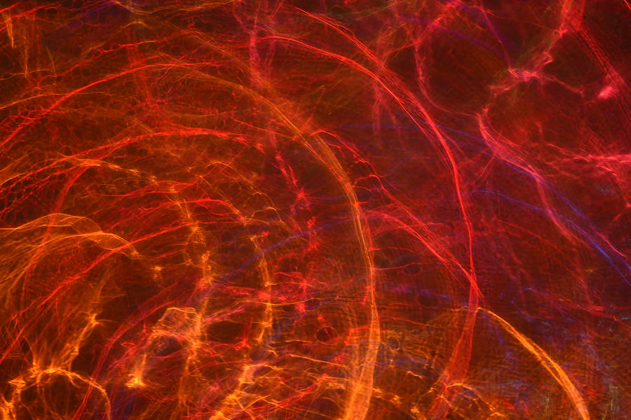 Color Light Study Abstract 4 Photograph by Janice Adomeit