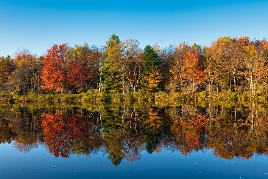 Color Me Autumn Photograph by Shawn Wellington-Norton - Fine Art America