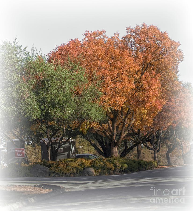 Color of Autumn Digital Art by Chuck Kuhn