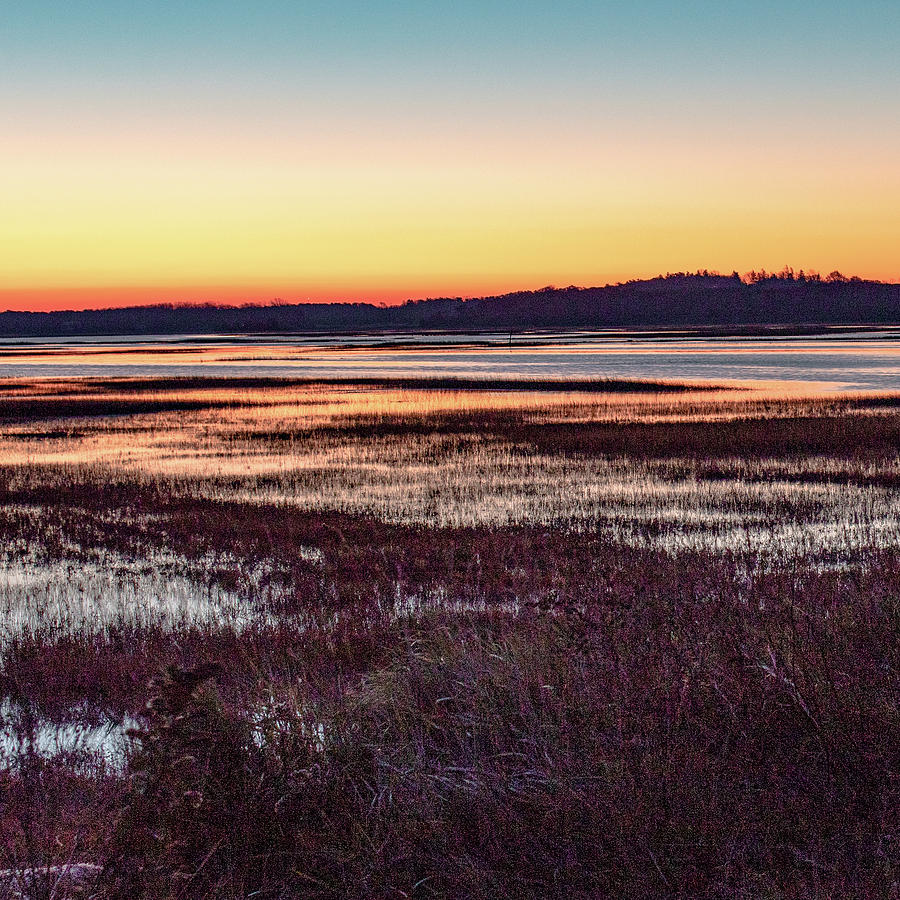 Color on the Marsh Photograph by William Bretton