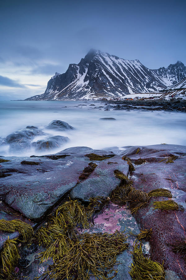Mountain Photograph - Color On The Rocks by Michael Blanchette Photography