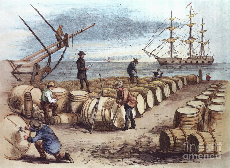 Color Print Of Wharf Workers Measuring Photograph by Bettmann