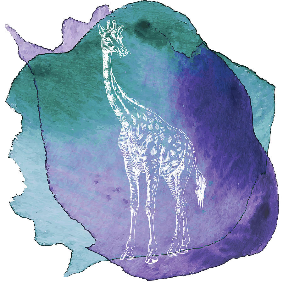 African Wildlife Digital Art - Color Spot Safari Animals Giraffe by Tina Lavoie