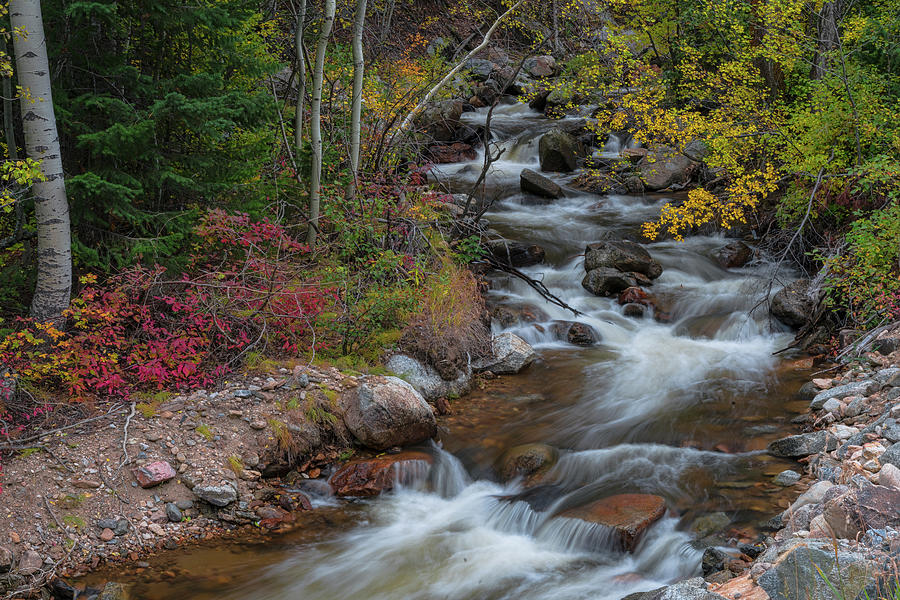 Seasons Photograph - Color Streaming by James BO Insogna