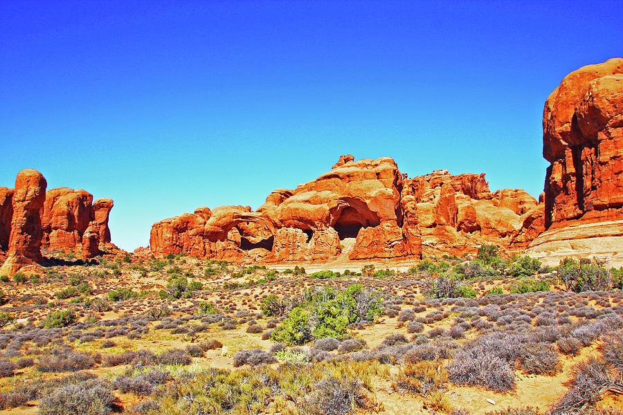 Colorado Arches Spires Red Rocks Scrub Blue Sky 3336 Photograph by David Frederick