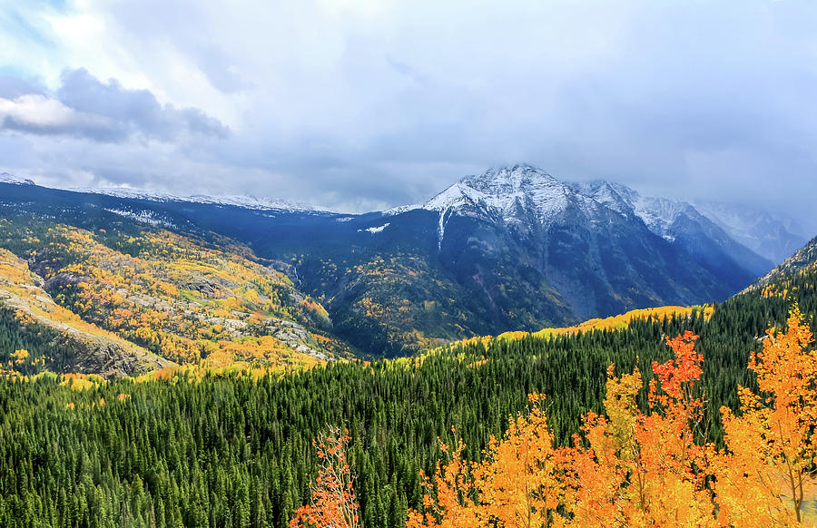 Colorado Aspens and Mountains 3 Photograph by Dawn Richards