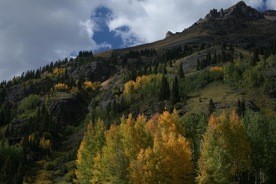 Colorado Autumn 12 Photograph by Grant Washburn