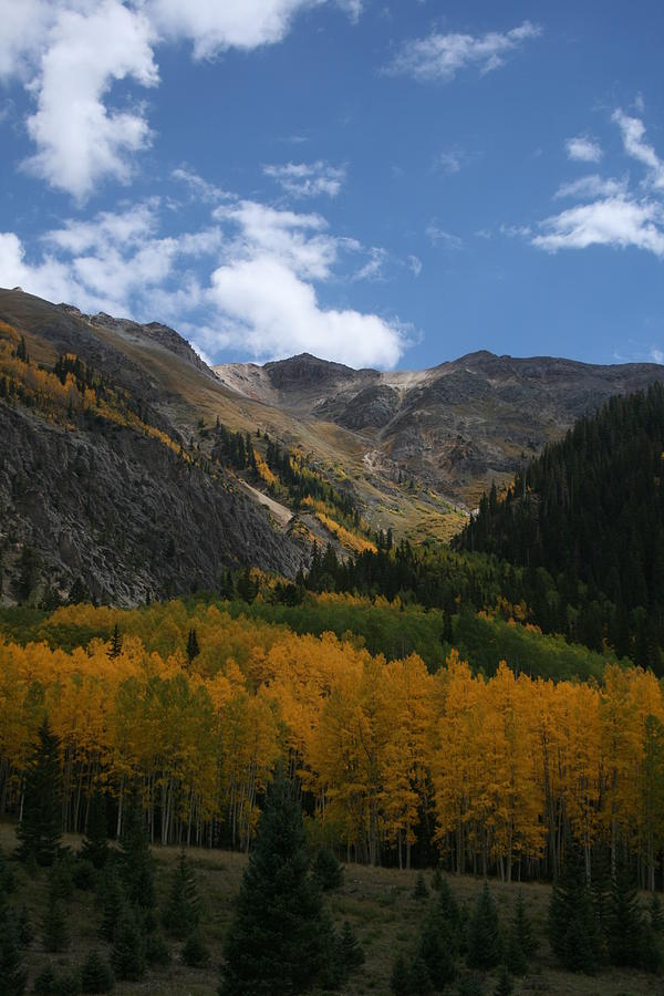 Colorado Autumn 14 Photograph by Grant Washburn
