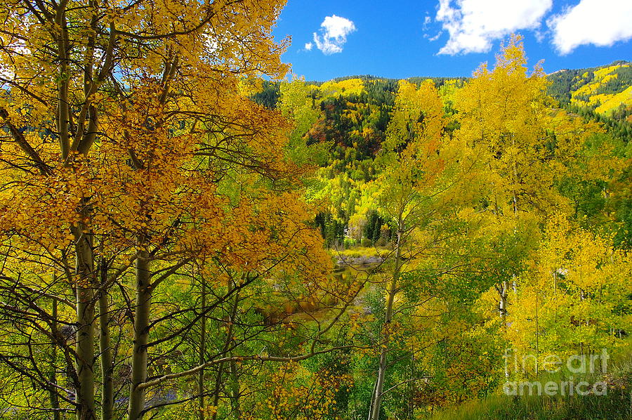 Colorado Autumn Photograph by Jeff Swan