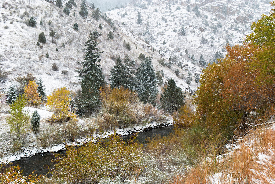 Colorado Autumn Meets Winter Photograph by Cascade Colors