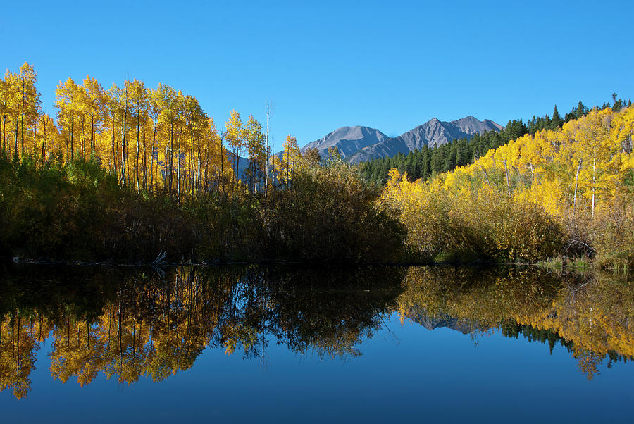 Colorado Autumn Mountain and Aspen Reflection Photograph by Cascade Colors