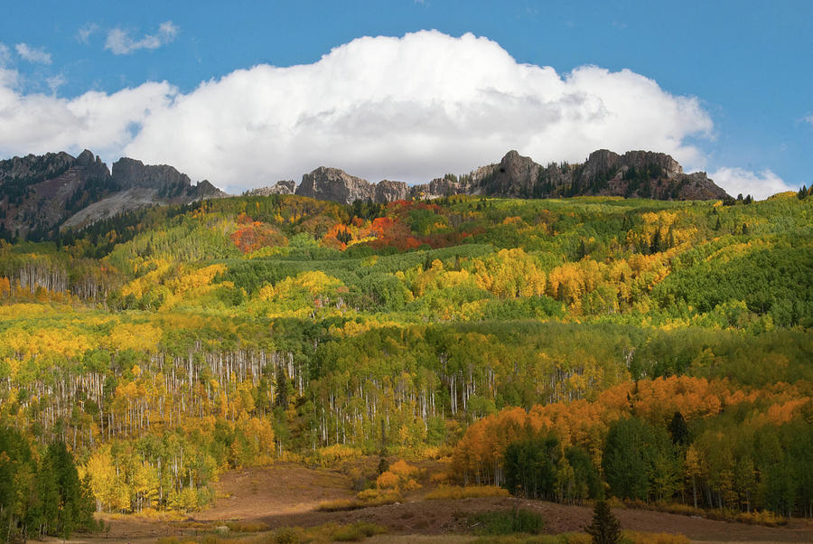 Colorado Autumn Perfection Photograph by Cascade Colors