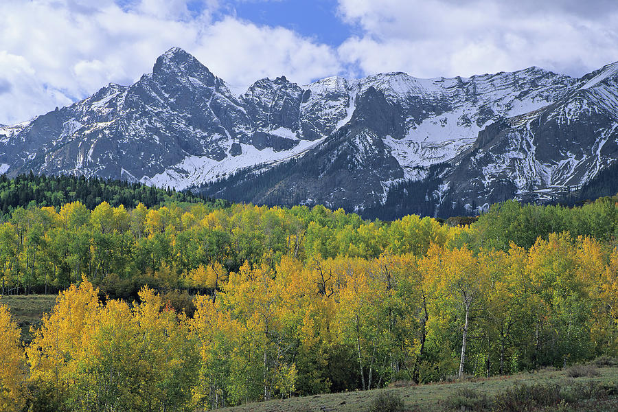 Colorado Autumn Photograph by S. Greg Panosian