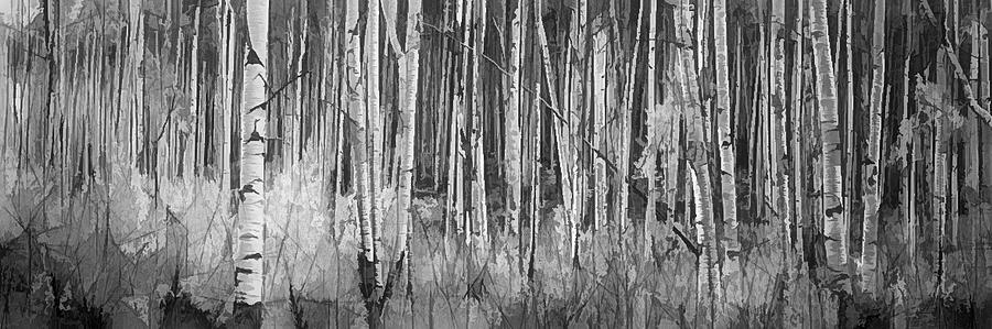 Colorado Autumn Wonder Panorama in Black and White  Photograph by Lena Owens - OLena Art Vibrant Palette Knife and Graphic Design
