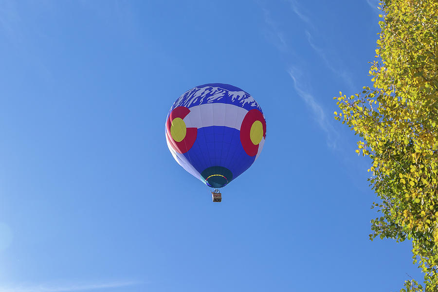 Colorado Balloon and Fall Foliage Photograph by Tony Hake