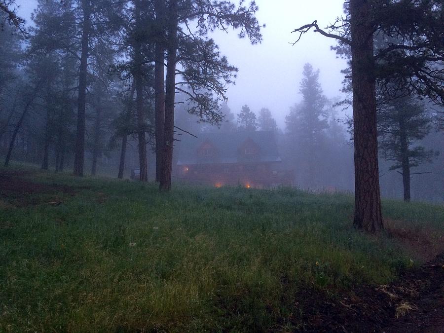 Colorado Cabin In The Woods Photograph By Luc Collins