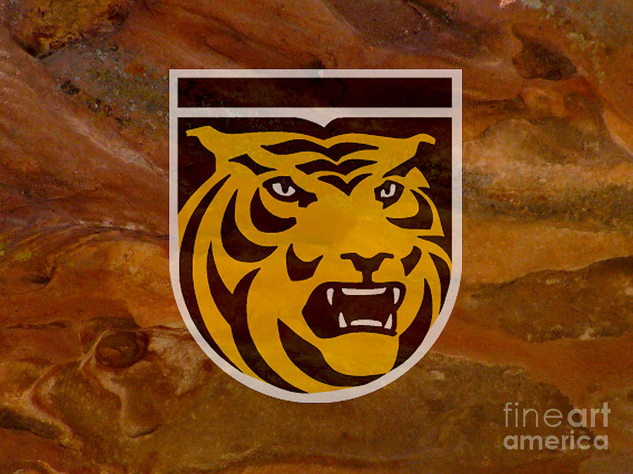 Colorado College Tigers Digital Art by Steven Parker