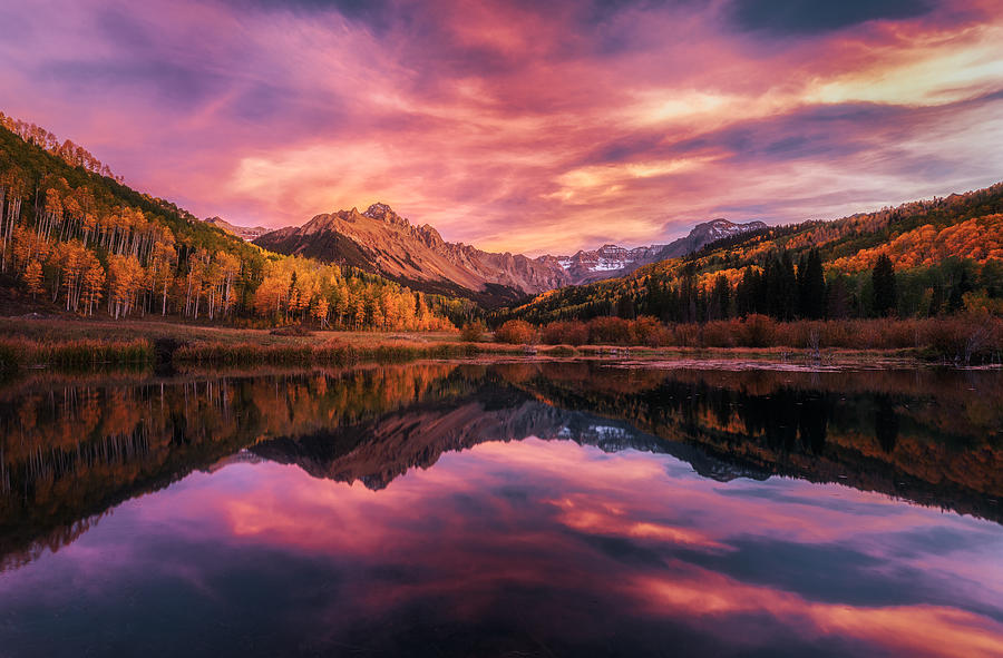 Colorado Fall Color Photograph by Yimei Sun