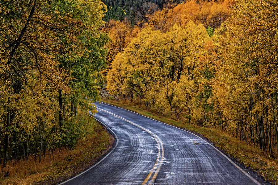 Colorado Fall Country Road Photograph by John De Bord