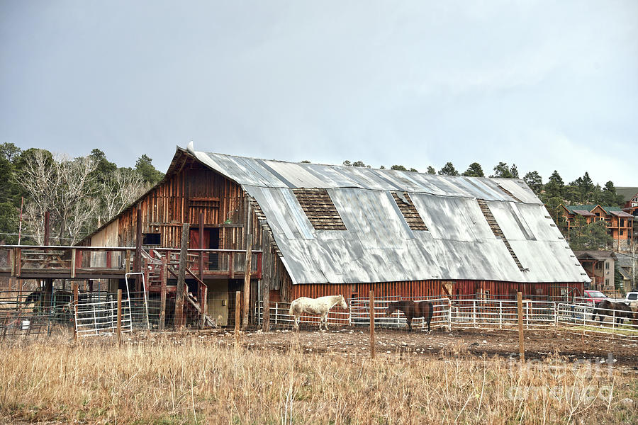 Colorado Horse Barn Photograph by Catherine Sherman