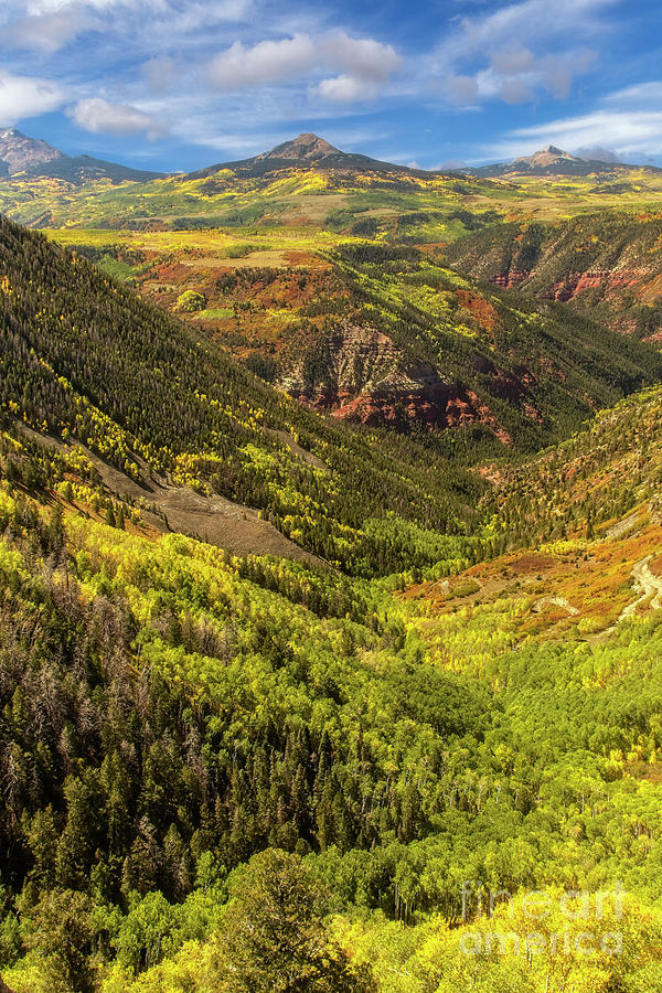 Fall Photograph - Colorado Mountain Fall Landscape by Ronda Kimbrow