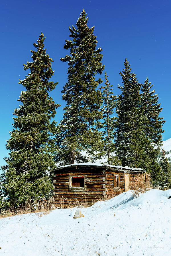 Colorado Mountain Small Log Cabin Photograph by Aloha Art