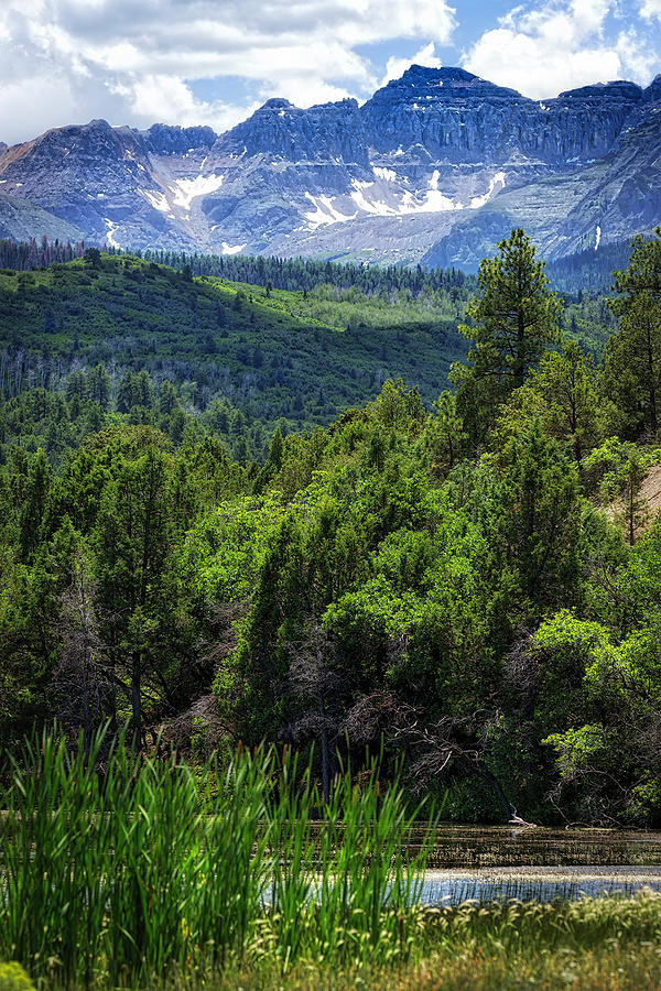Colorado Mountains Photograph by Kristal Kraft