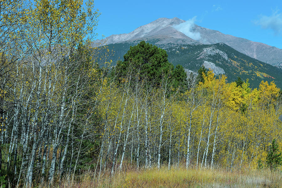Colorado Mt Meeker Autumn Landscape Photograph by James BO Insogna