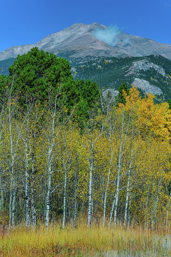 Colorado Mt Meeker Autumn Portrait Photograph by James BO Insogna