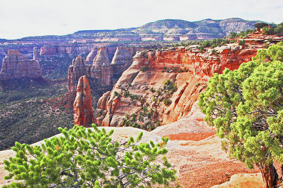 Colorado National Monument Spires rock formations 3012 Photograph by David Frederick