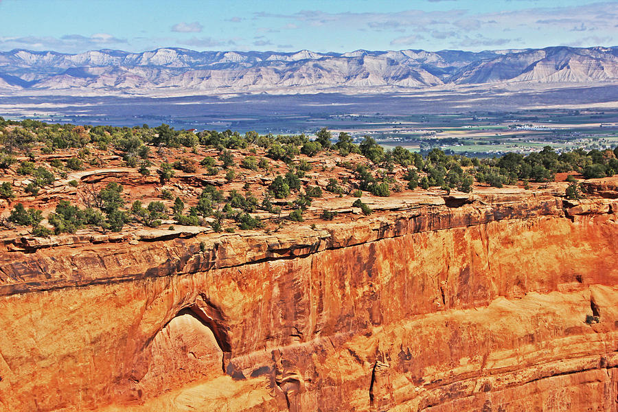 Colorado National Monument Trees rock formations 3087 Photograph by David Frederick