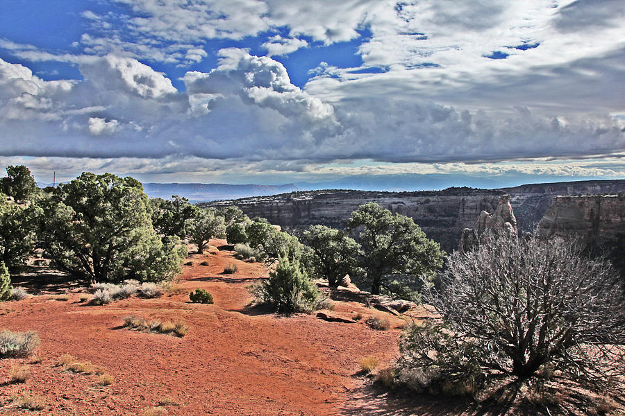 Colorado National Monument Trees rock formations clouds 3001 Photograph by David Frederick