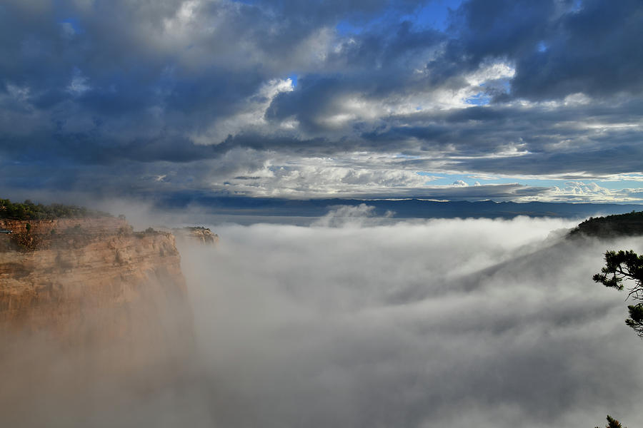 Colorado National Monuments Fruita Canyon Fully Engulfed in Fog Photograph by Ray Mathis