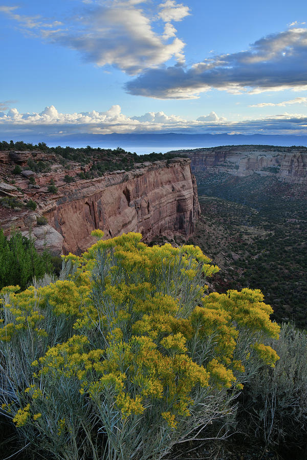 Colorado National Monuments Rim Rock Drive Photograph by Ray Mathis