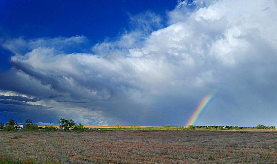Colorado Rainbow  Photograph by Ally White