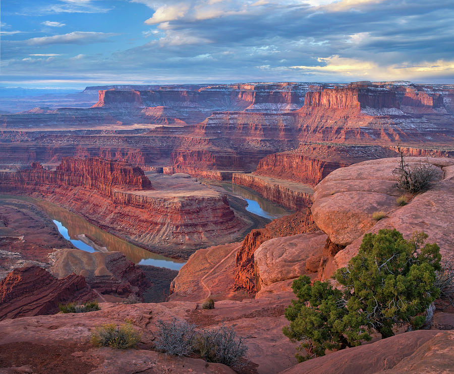 Colorado River From Deadhorse Point, Canyonlands National Park, Utah Photograph by Tim Fitzharris
