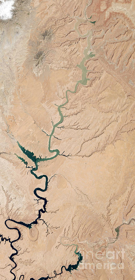 Colorado River in Drought Photograph by NASA Earth Observatory Robert Simmon