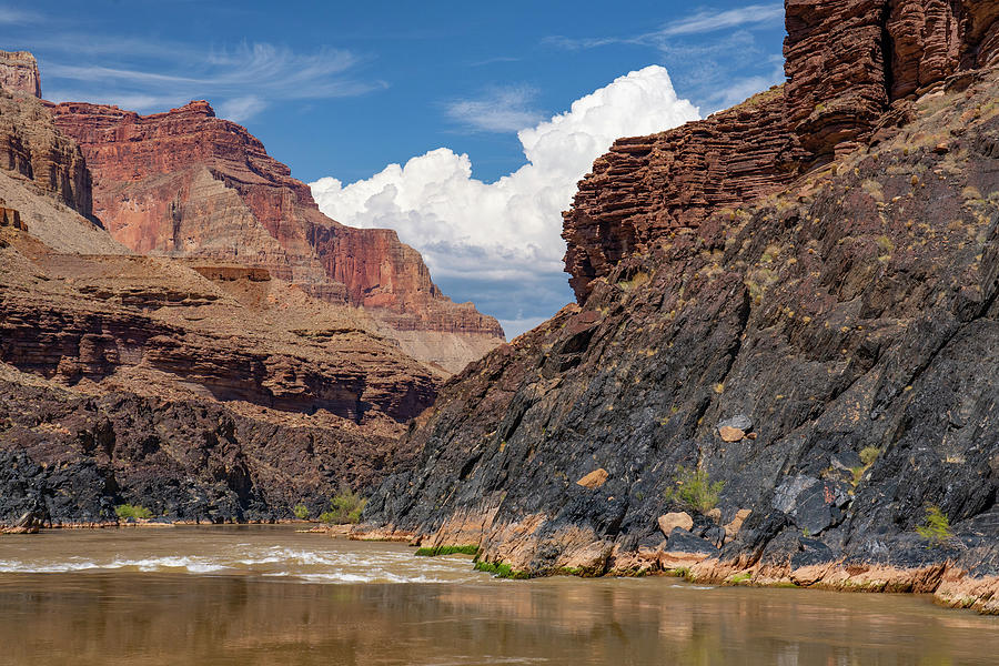 Colorado River In Grand Canyon Photograph by Jeff Foott