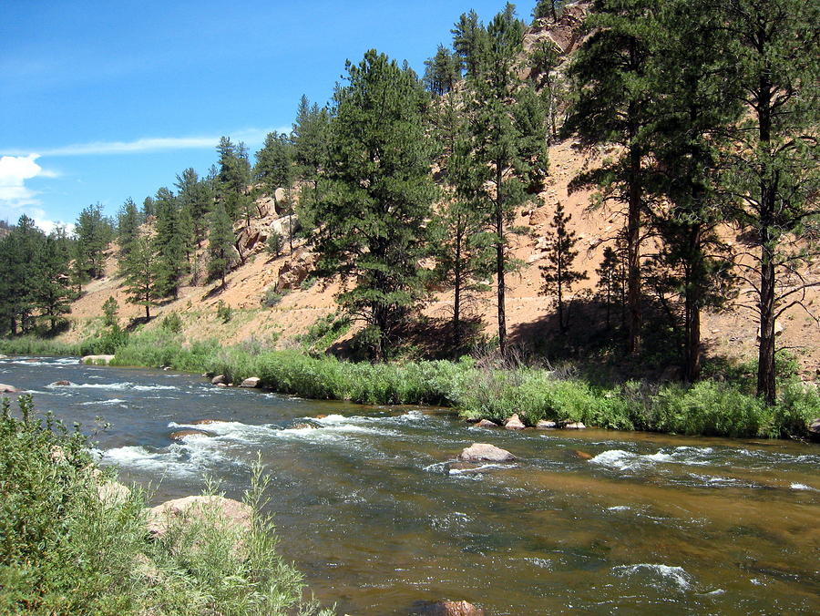 Colorado Summer Photograph by Marilyn Moran - Fine Art America