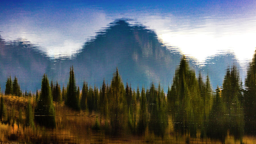 Colorado, Usa, Impressionistic Pine Photograph by Panoramic Images