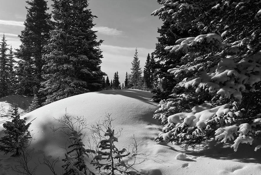 Colorado Winter Black and White Landscape Photograph by Cascade Colors