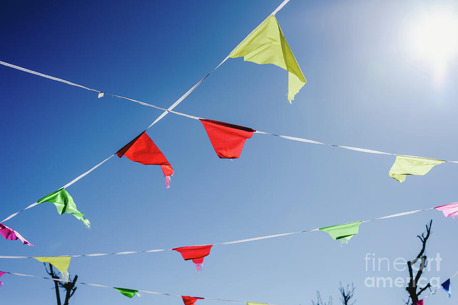 Colored flags against the sun waving in the wind at an outdoor party. Photograph by Joaquin Corbalan