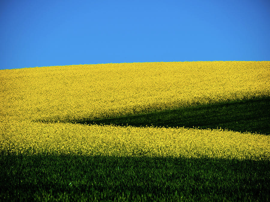Colored Landscape Photograph by Jorg Becker