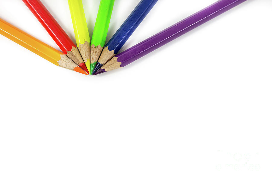 Color Sketch - Fox Image & Photo (Free Trial) | Bigstock