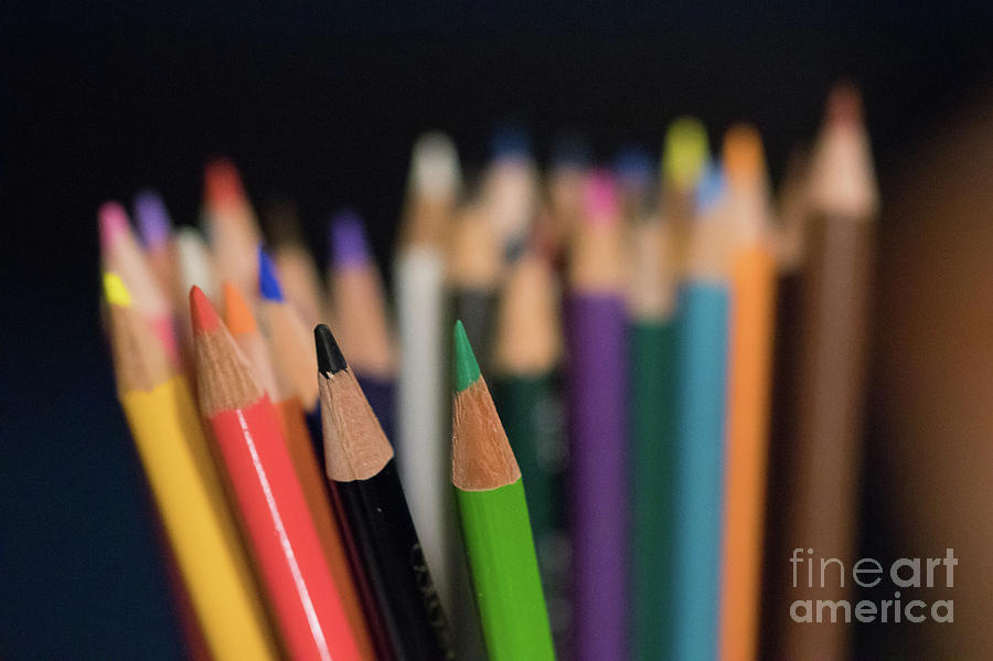 Color Photograph - Colored Pencils by Nicki Hoffman Color Photograph - Colored Pencils by Nicki Hoffman