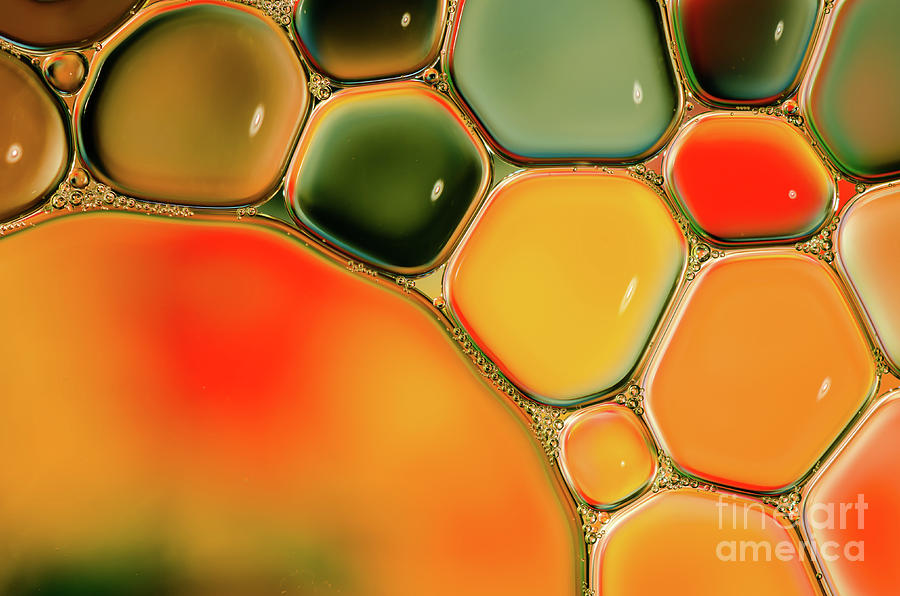 Colorful Abstraction Shot Of Oil And Photograph by Laurens Kaldeway