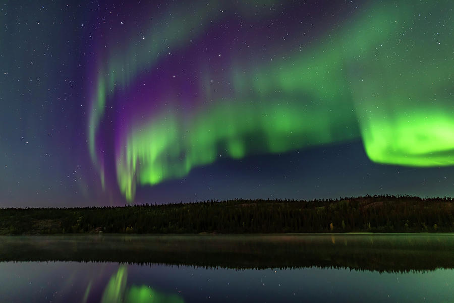 Colorful Aurora In The Darkening Photograph by Alan Dyer